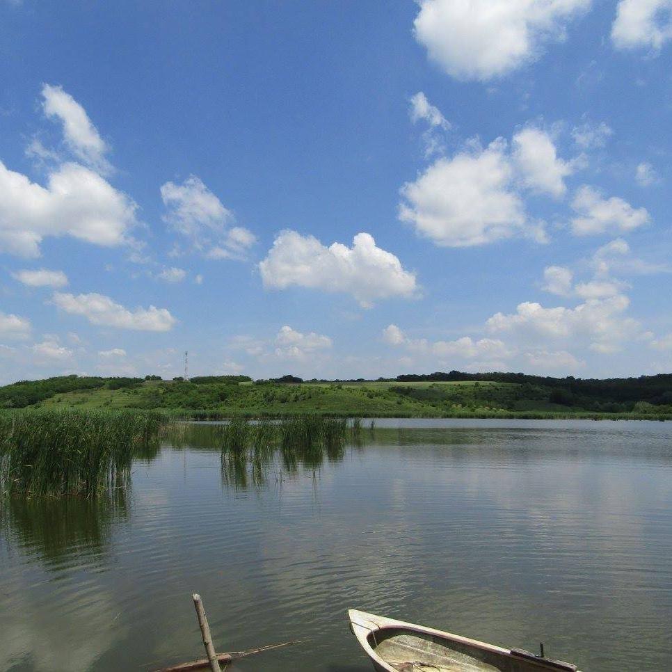 CĂSCIOARELE