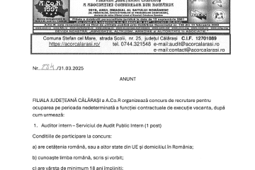 Concurs auditor intern